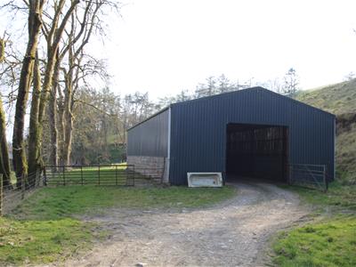 Picture 21